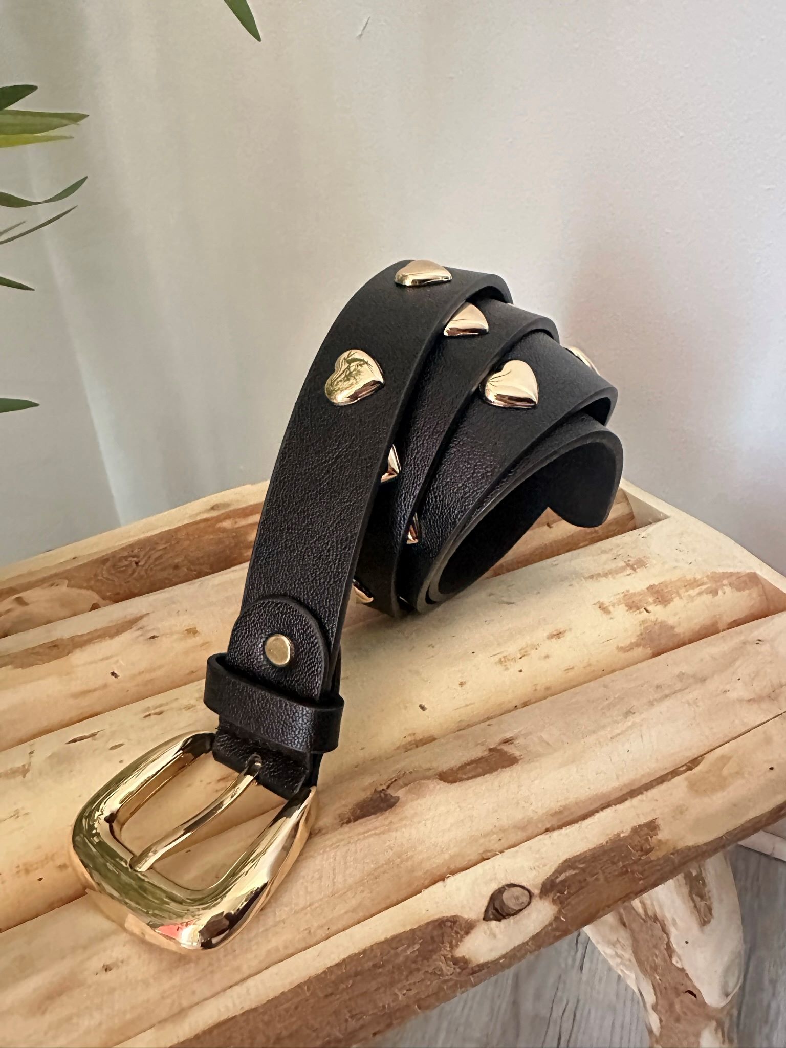 Cinturón negro corazones 3