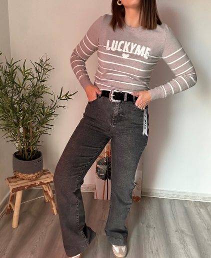 Vaquero wide leg gris inspiración