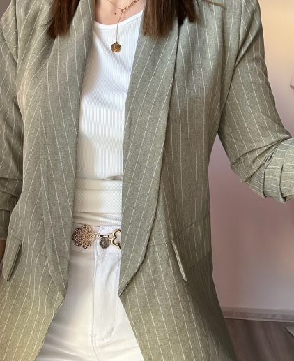 Blazer diplomática verde